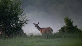 Rencontre matinale