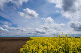 Après la pluie, le soleil revient!