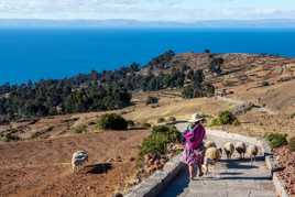 La Bergère D'Amantani