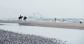 Noordzee