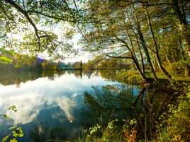 Petit tour à l'étang