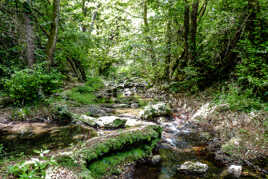 La Brague se faufile