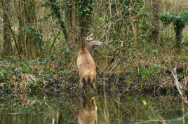 photo retouchée avec PSP