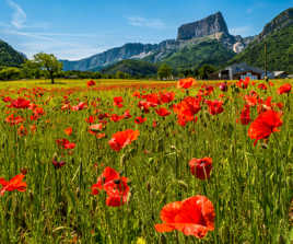 Une aiguille dans une botte de foin
