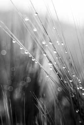 Après l'orage