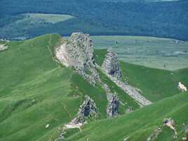 Roche et verdure