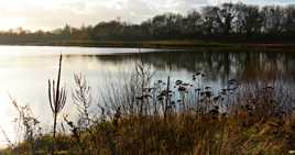Coin de pêche en Loire
