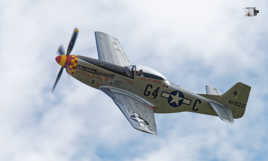 Un aigle dans le ciel