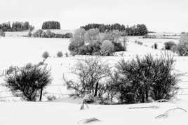 Paysage neige