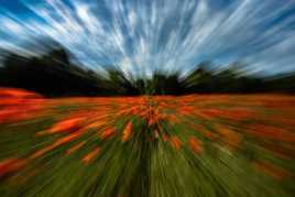 Encore plus vite !!!