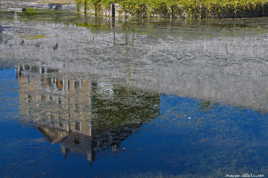 reflet sur l'étang