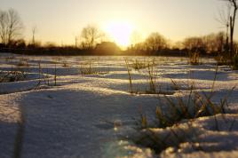 Dernières neiges