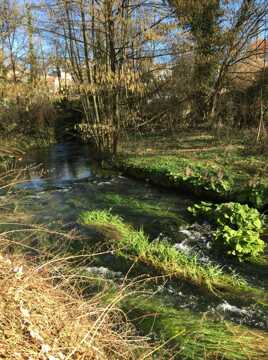 Le Petit Ruisseau de la Dame Blanche