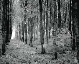 En route vers la lumière.