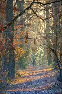 C'était l'automne