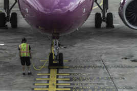 Au pied! Pas bouger!