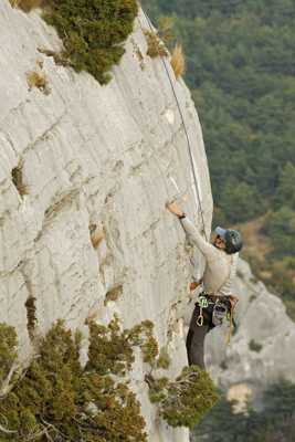 Portrait dans l'effort.