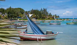 P'tit coin de paradis au paradis