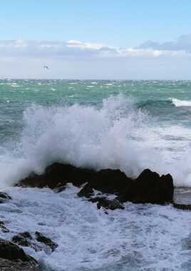 La vague