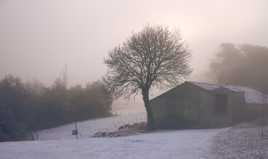 Prémices de l'hiver.