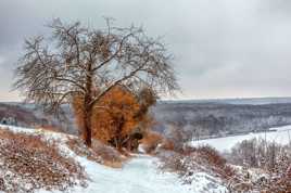 Couleurs d'Hiver