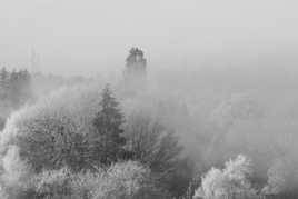 Givre et brume !