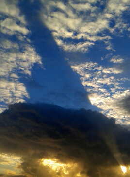 Cathédrale de Chartes