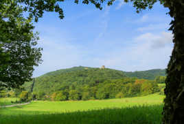 paysage champêtre