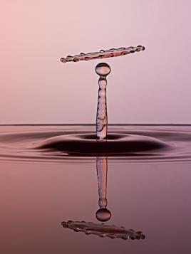 Patience et réflexion