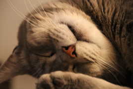 Tu me fait tourner la tête...