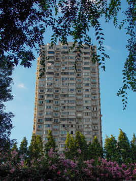 Béton et chlorophylle