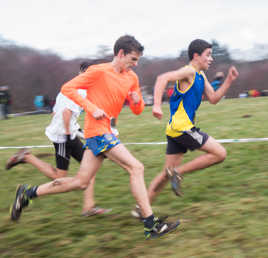 C'est la lutte...finale...