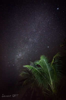 Voie lacté sur les cocotiers