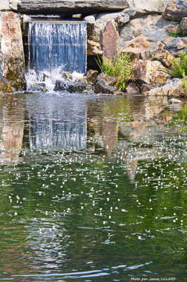 Cascade et reflet