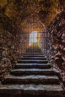 La Chartreuse de la Verne, 