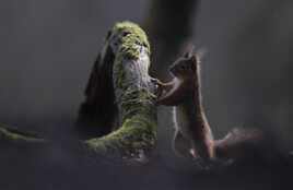 Hello Version brut de boitier