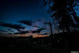 spectacle de la nature