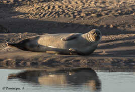 Je suis bien comme ça ?