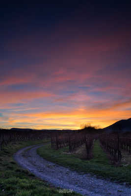 Palette de couleurs du soir