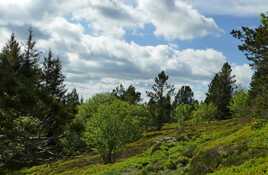 Massif du Mezenc