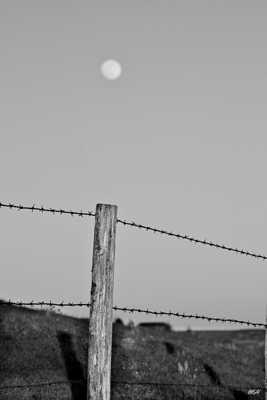 La lune et le barbelé.
