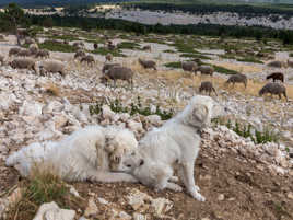 Va t'asseoir ailleurs !... tu m'empêches de voir !