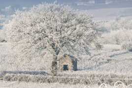 Couvert de blanc