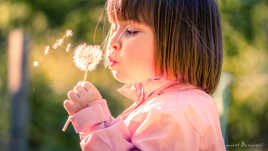 Le printemps de Sarah