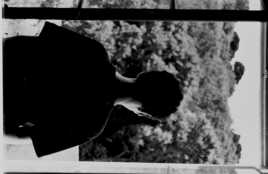 la fenetre (argentique)