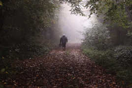 En chemin,j'ai rencontré...