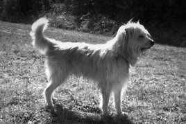 Dans un halo de soleil