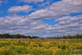 Nature toute en couleurs