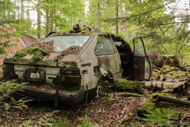 La nature reprend le dessus !