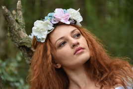 Un Elfe dans les bois !